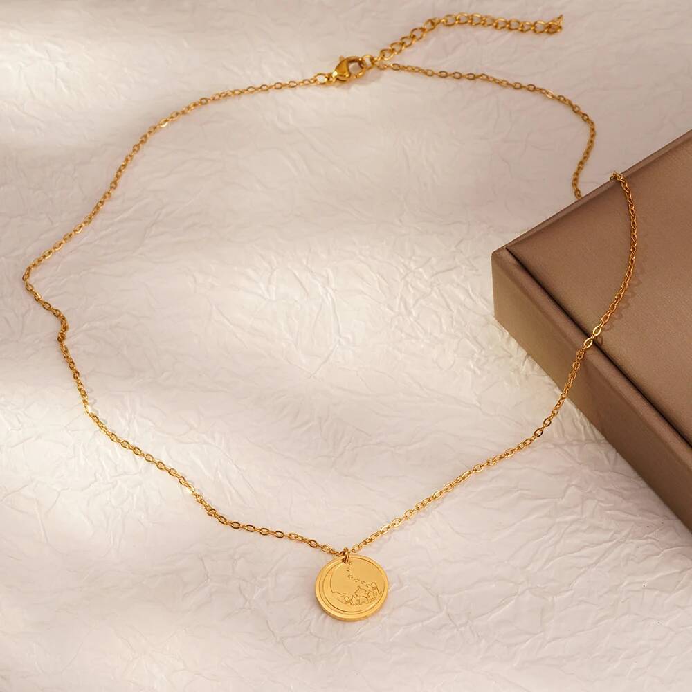 Collana con ciondolo rotondo c - Coin Necklace Delicate recensione e prezzo