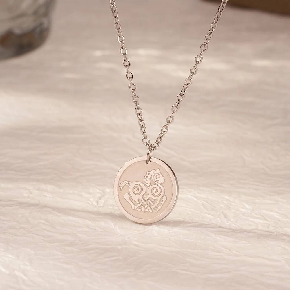 Regalo di gioielli con collana - Coin Necklace Delicate recensione e prezzo